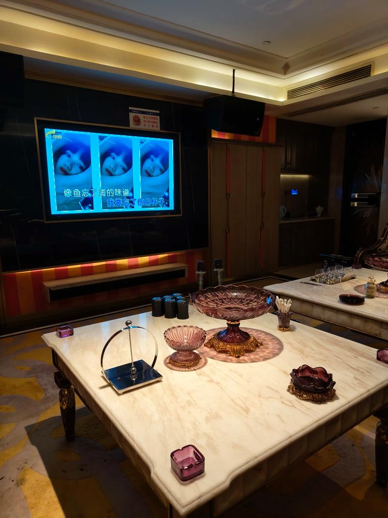驻马店商务KTV，夜场独特体验-汝南县ktv预定